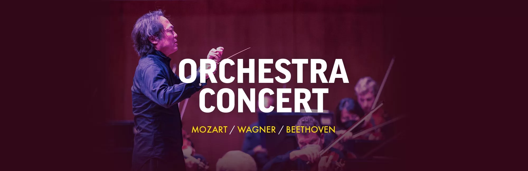 Festival Mozaic Orchestra: Beethoven's Fifth